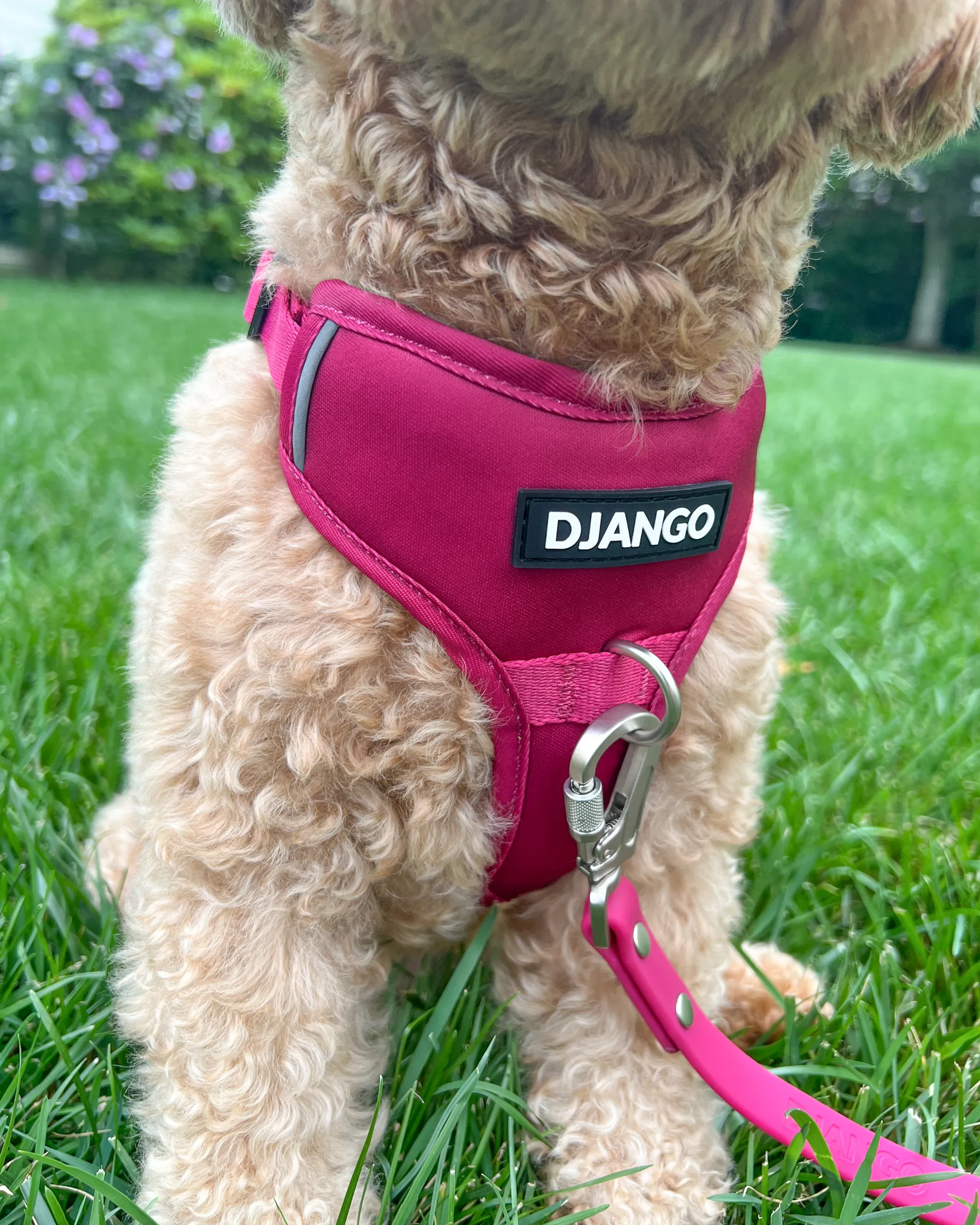 Tahoe Bundle — Harness, Leash, and Collar Set
