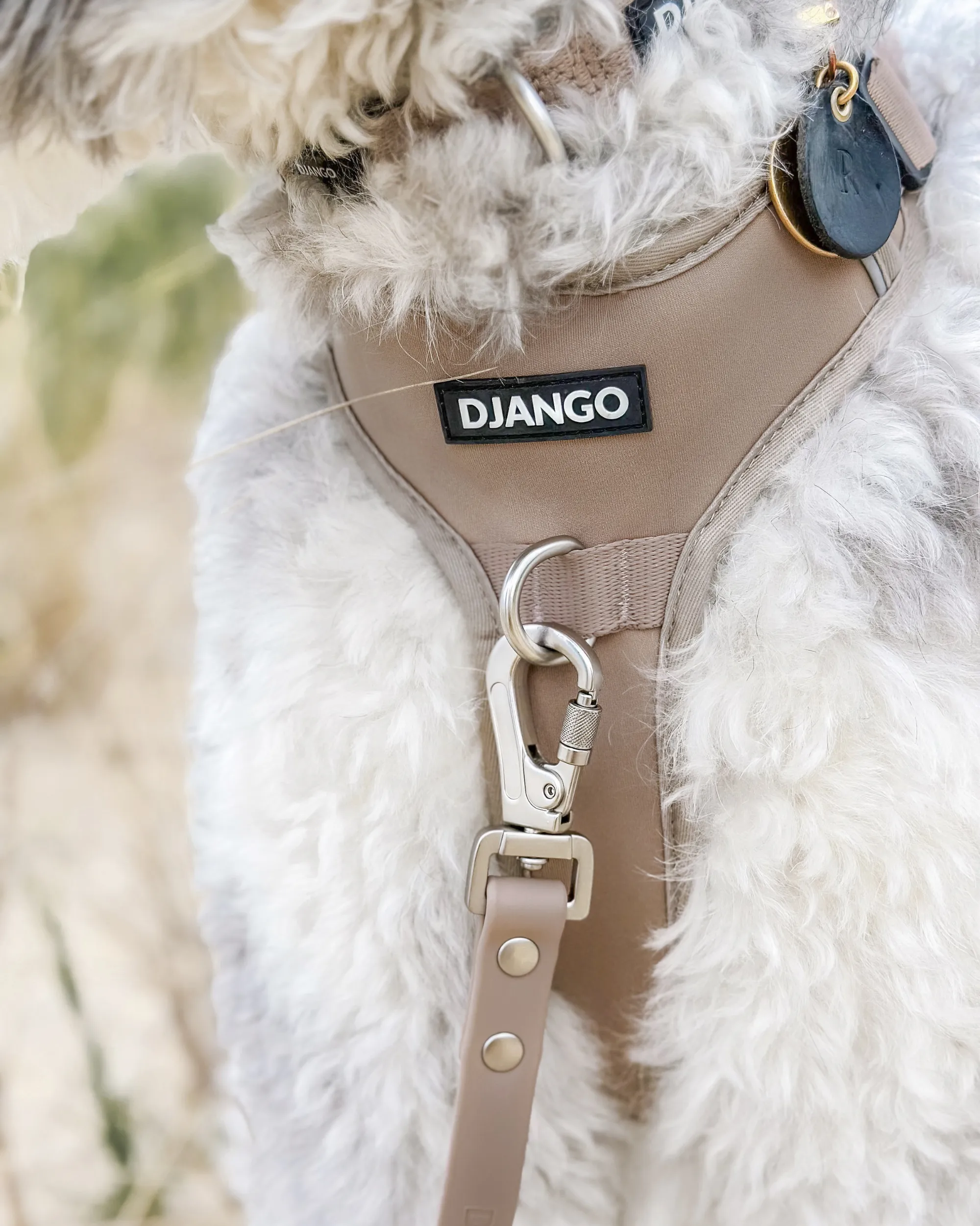 Tahoe Bundle — Harness, Leash, and Collar Set